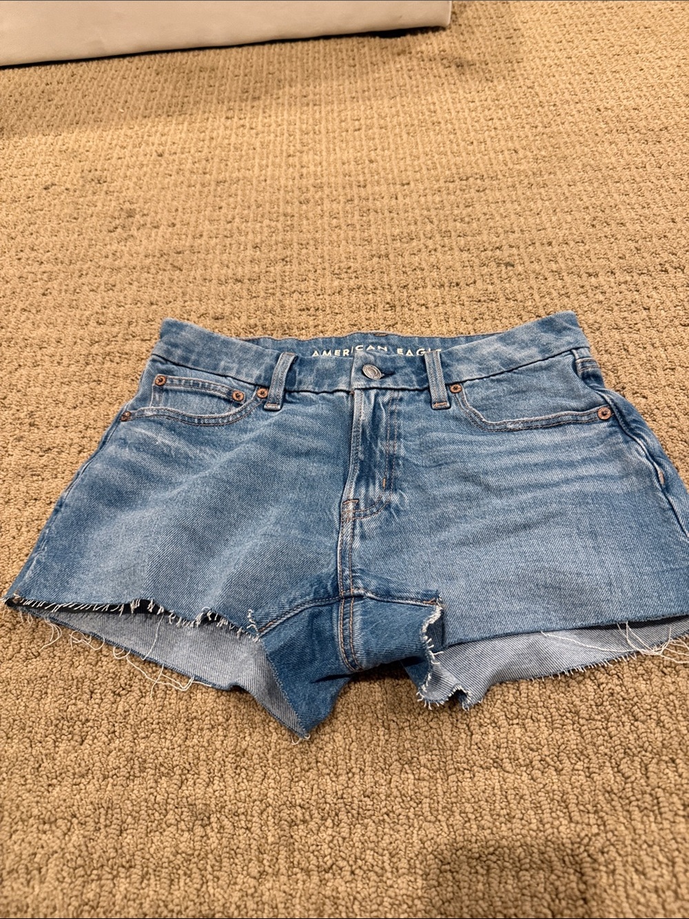 American Eagle Outfitters Light Blue Denim Cutoff Shorts